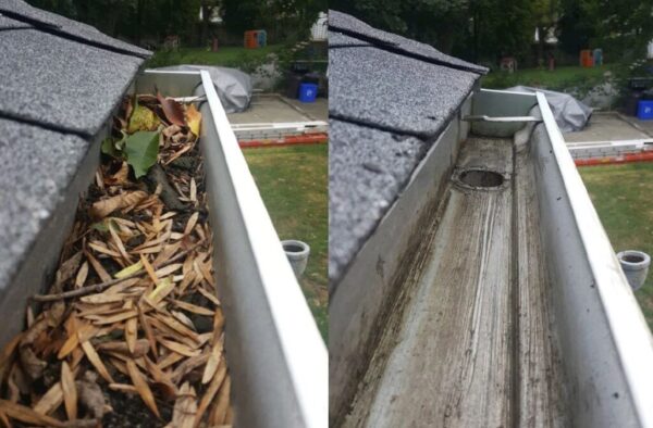 Standard Gutter Cleaning