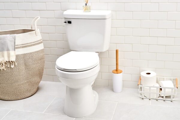 Toilet Replacement – Including Toilet, Hardware, and Labor